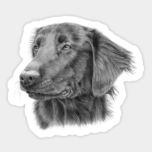 Flatcoated retriever - sh Sticker